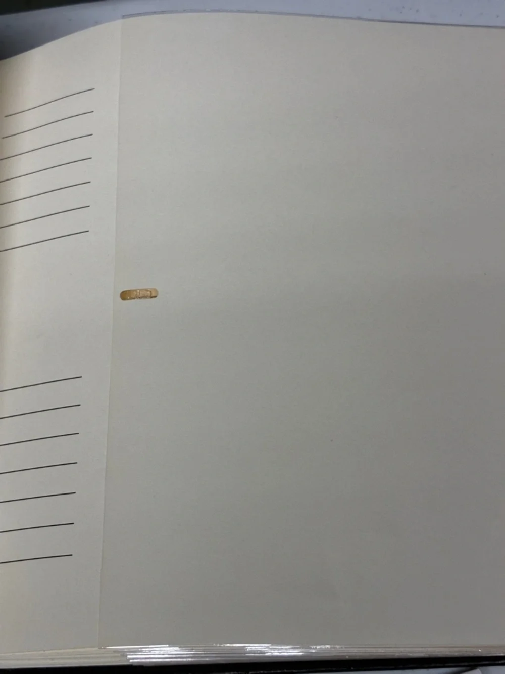 Brown Photo Album with Center Window